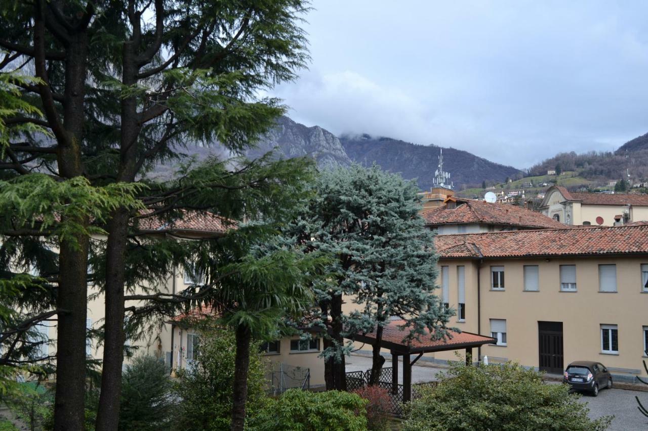 Casa Del Cedro - Cedar House